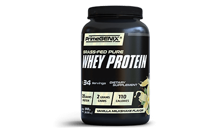 Whey Protein 