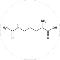 L-Citrulline Molecule